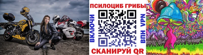 где можно купить   mega вход  Псилоцибиновые грибы Psilocybine cubensis  Аргун 