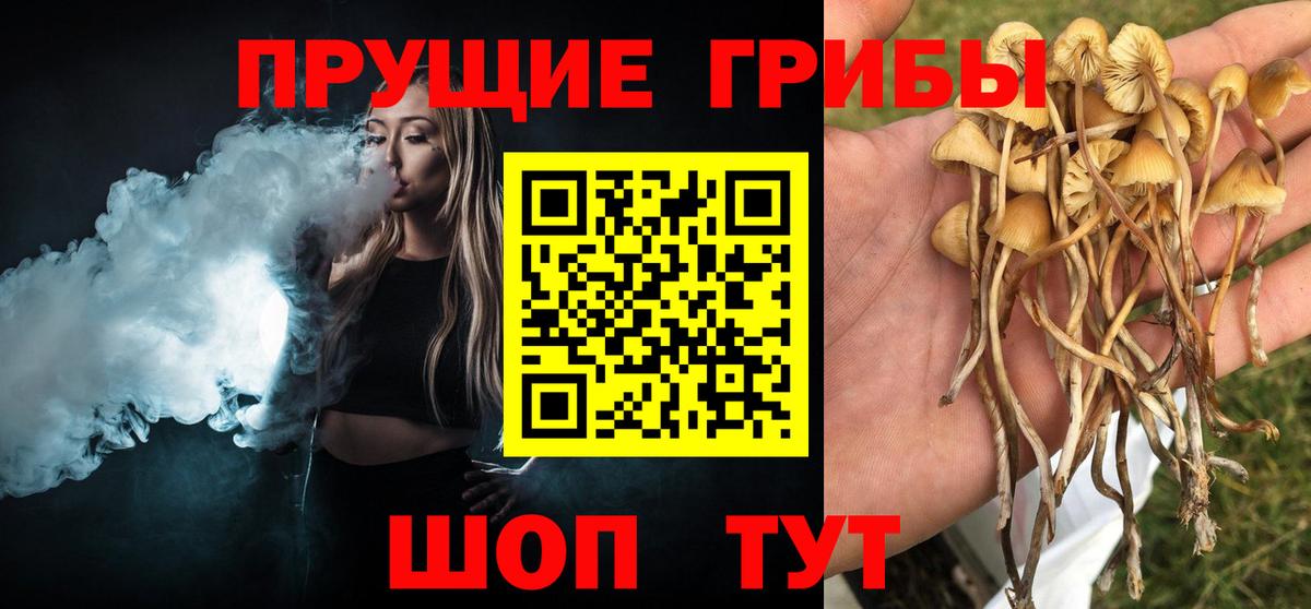 Псилоцибиновые грибы GOLDEN TEACHER Аргун