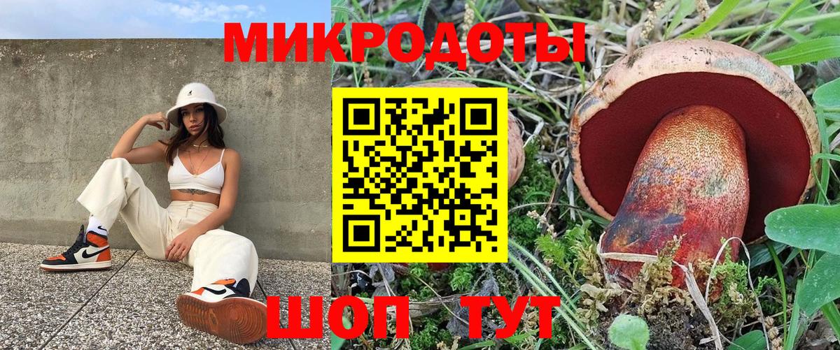 Псилоцибиновые грибы Psilocybe  цена   Аргун 